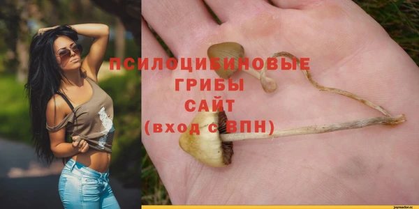 стафф Белоозёрский