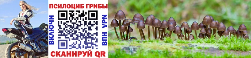 Галлюциногенные грибы Psilocybine cubensis Купить Сергач